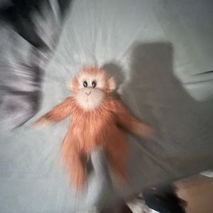 Meet your Posher, Charlie